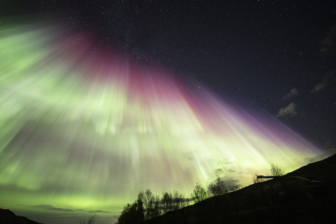 Von Tromsø: Nordlichtjagd mit Fotos &amp; SnacksNordlichtjagd in Tromso mit Fotos, Kleidern und Snacks