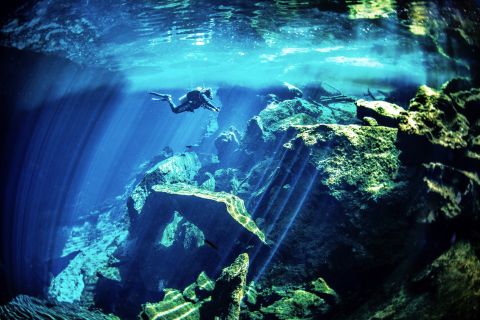 Cenotes & Cavern Diving Tour