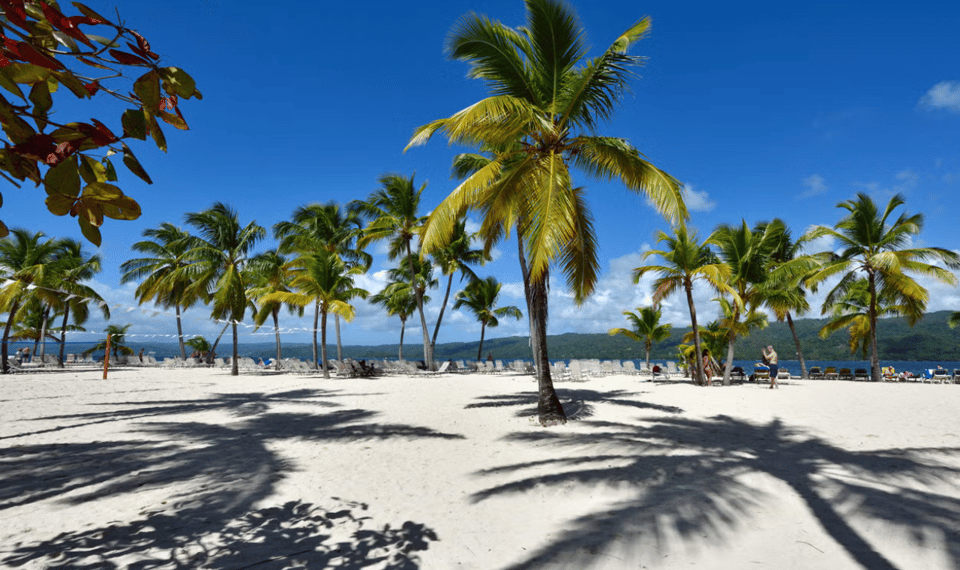 Punta Cana: Full Day Excursions Samana Island Bacardi | GetYourGuide