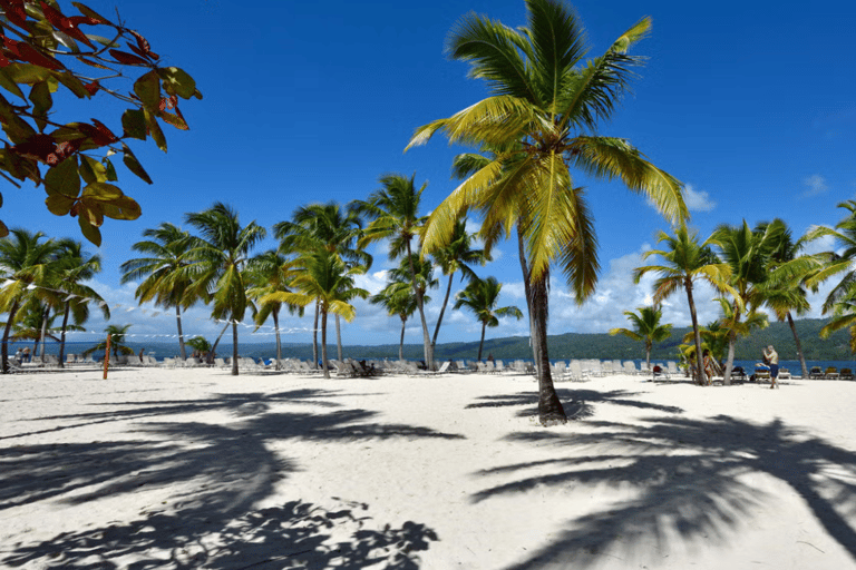 Punta Cana: Full Day Excursions Samana Island Bacardi