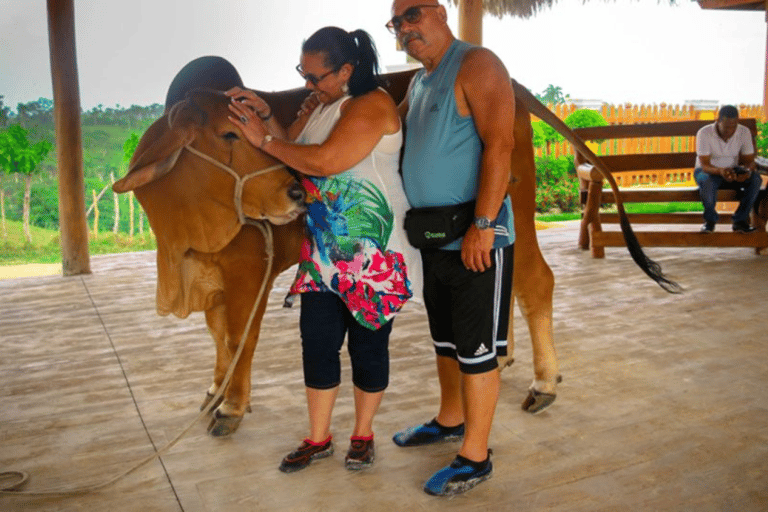 Punta Cana: Zipline, Buggy and Horseback Rides