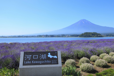 Tokyo: Mount Fuji Day Tour, Oshino Hakkai, Lake Kawaguchi Lunch Excluded | 8:30 AM from Shinjuku Station