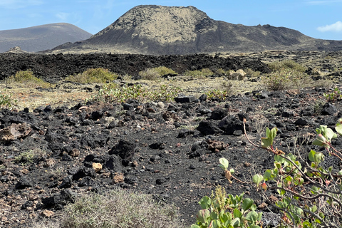 Lanzarote: Guided Hike discover volcano history and culture
