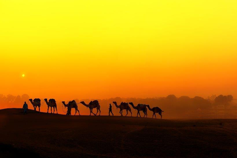 Hoppa över biljettkön Guide Only TourBästa guiden i Agra