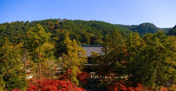 Peaceful Kyoto Walking Tour