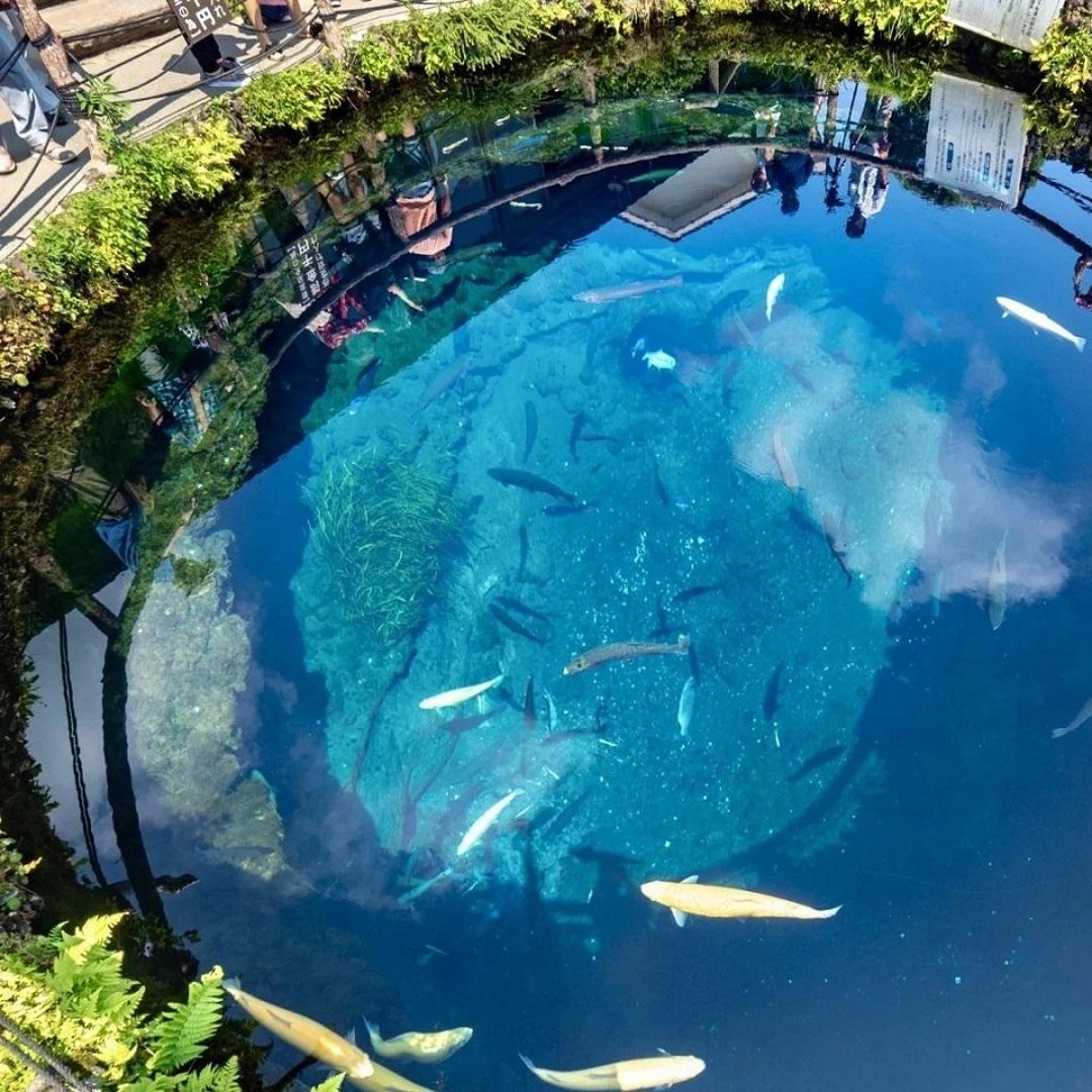 メディア コラージュ