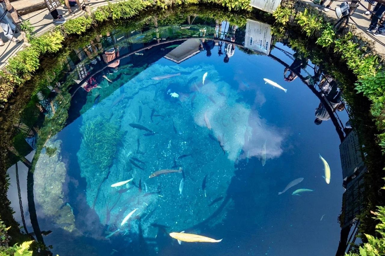 Excursion d'une journée aux 5 principaux sites du Mont Fuji : Parc Arakurayama, Oshino HakkaiDépart à 8h30 de la gare de Shinjuku.