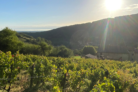 Lyon: Vineyard tour, wine tasting and bistronomic restaurantPrivate tour in French