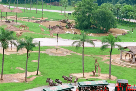 Guangzhou: Chimelong Safari Park Entry with Private Transfer Shenzhen | Private Transfer + Chimelong Safari Park Ticket