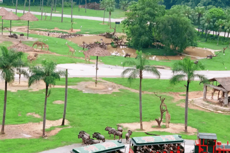 Guangzhou: Chimelong Safari Park Entry with Private Transfer Shenzhen | Private Transfer + Chimelong Safari Park Ticket