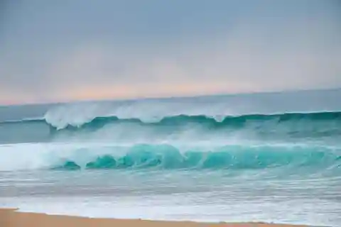 Depuis Evora : Randonnée à cheval sur la plage de comporta