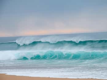 Desde Evora: Paseos a caballo por la playa de Comporta