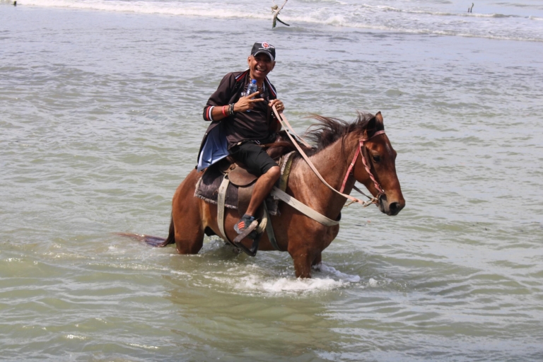 Strand paardrijden en platteland