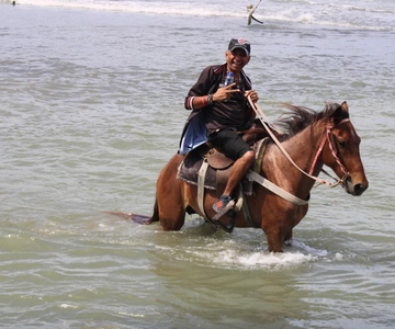 Spiaggia a cavallo e campagna