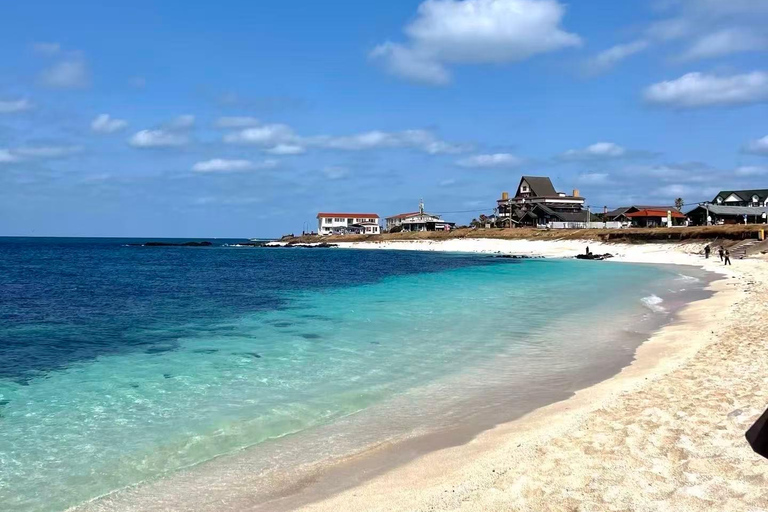 Jeju Island: Udo, Seongsan Ilchulbong & Hamdeok Tour