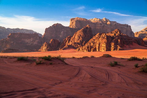 Depuis Amman: excursion d'une journée à Petra et au Wadi Rum avec prise en charge à l'hôtel