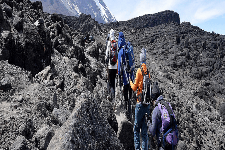 La mejor ascensión de 5 días a la Ruta Umbwe por el Kilimanjaro