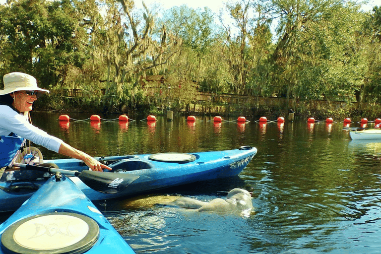Rainbow Springs: Sit-On-Top Kayak Rental Tandem Sit On Top Kayak