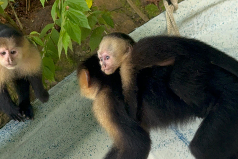 Panama City: Monkey Island & Gatun Lake Tour