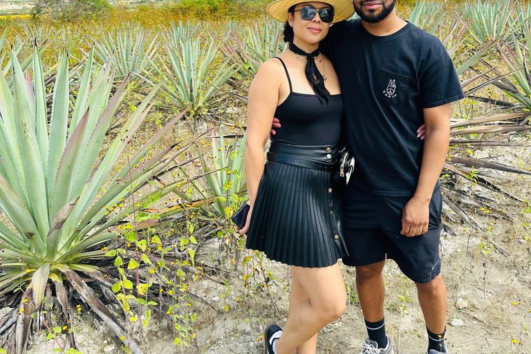 Oaxaca: Barrel-Bus Tour with Pulque, Agave & Mezcal Tastings