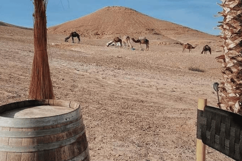 Dinner and quad bike in Agafay desert,camel Ride