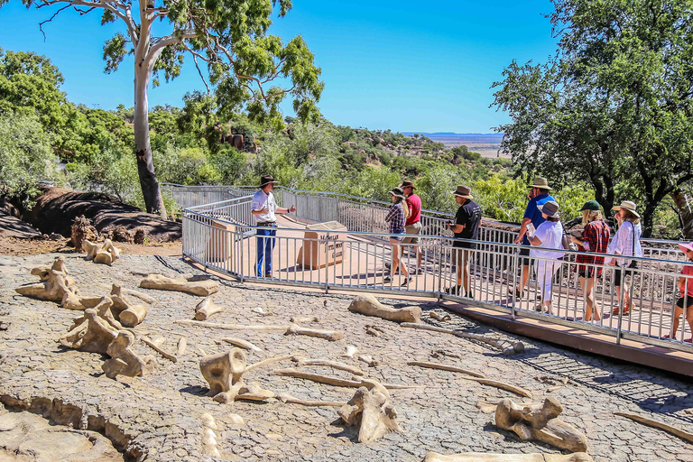 Winton : visite d&#039;une demi-journée au musée Age of Dinosaurs