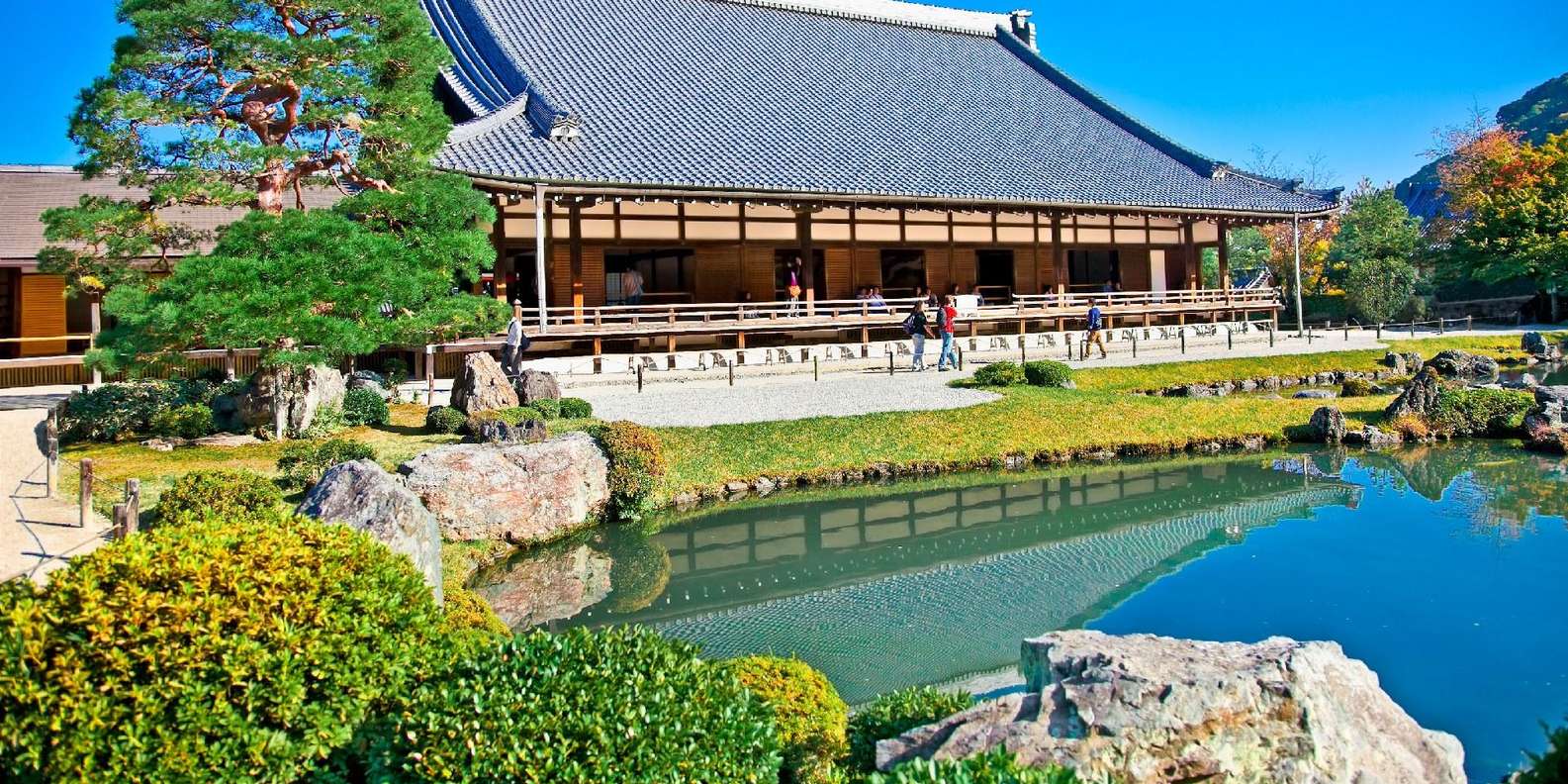 Kyoto experience — temples, geisha, bamboo grove — image 44