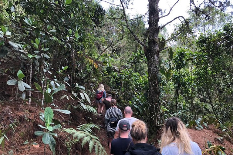 Medellin: Amazing Arvi Natural Reserve