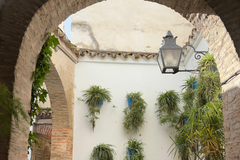 Sevilha a Córdoba com tempo livre ou Mesquita e SinagogaDe Sevilha a Córdoba com tempo livre