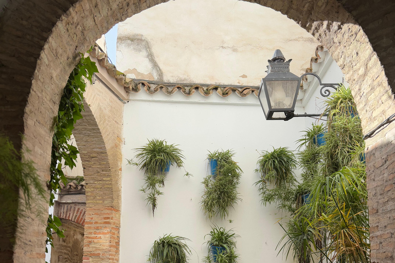 Sevilha a Córdoba com tempo livre ou Mesquita e SinagogaVisita guiada a Córdoba, Mesquita e Sinagoga.