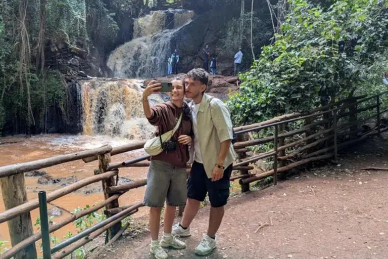 Karura guided walking tour