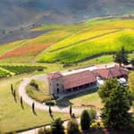 Tenuta Bonzara - Tour e degustazione vini sui Colli Bolognesi