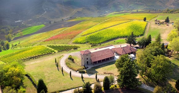 Tenuta Bonzara - Tour and wine tasting in the hills of Bologna