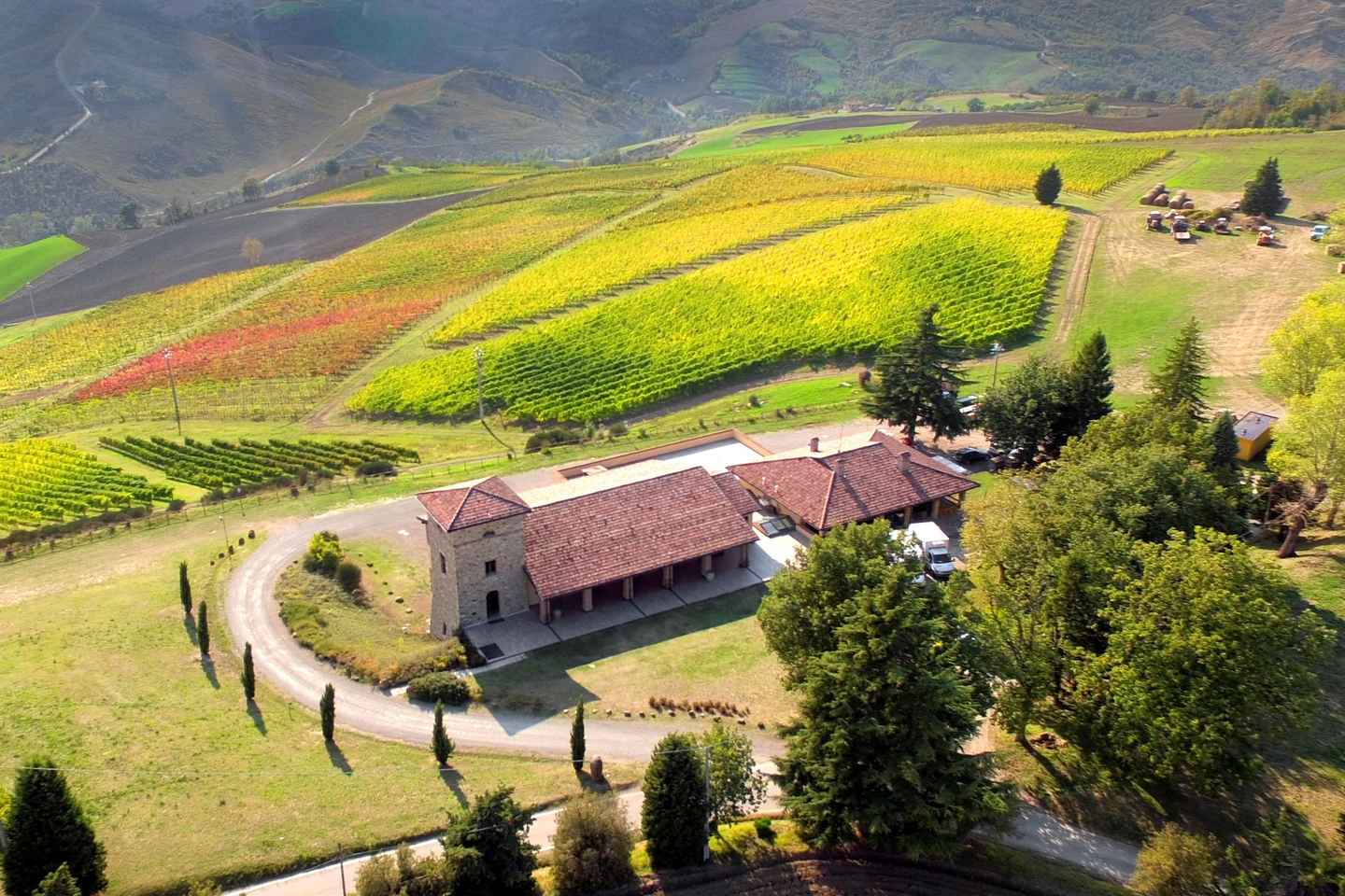 Bonzara Estate - Tour and wine tasting in the Colli Bolognesi