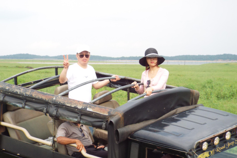 Sri Lanka: 10-Day Guided Tour with Customized tour