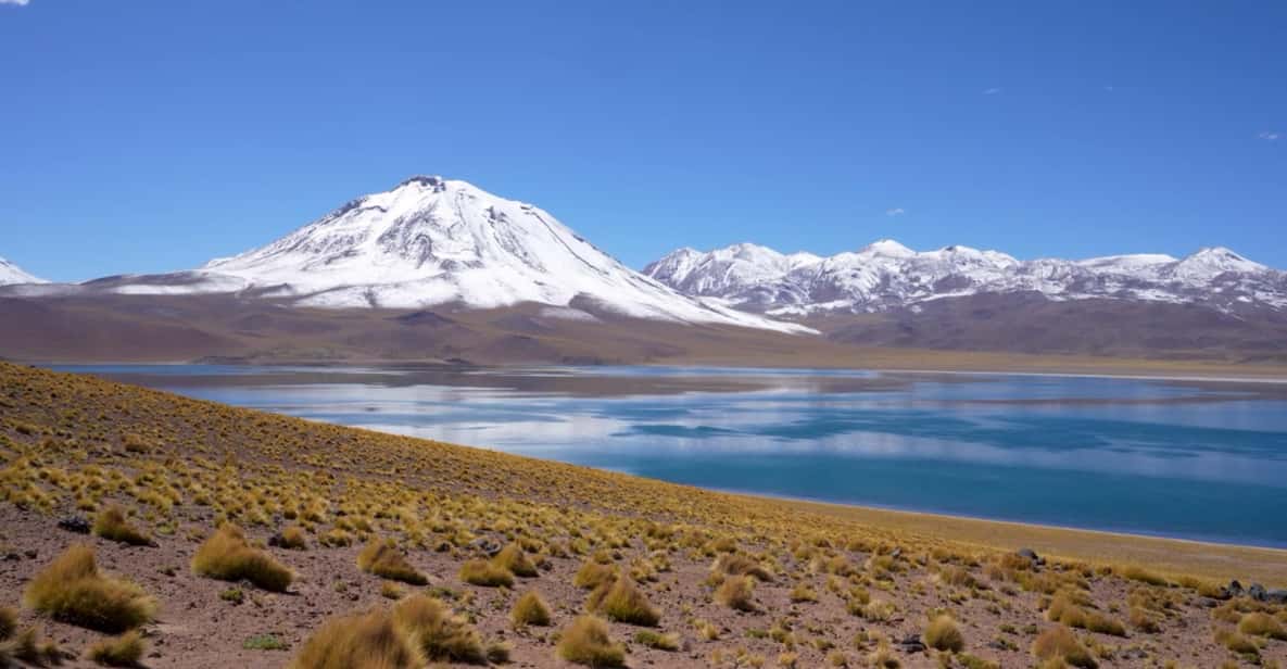 Galería de fotos para redes