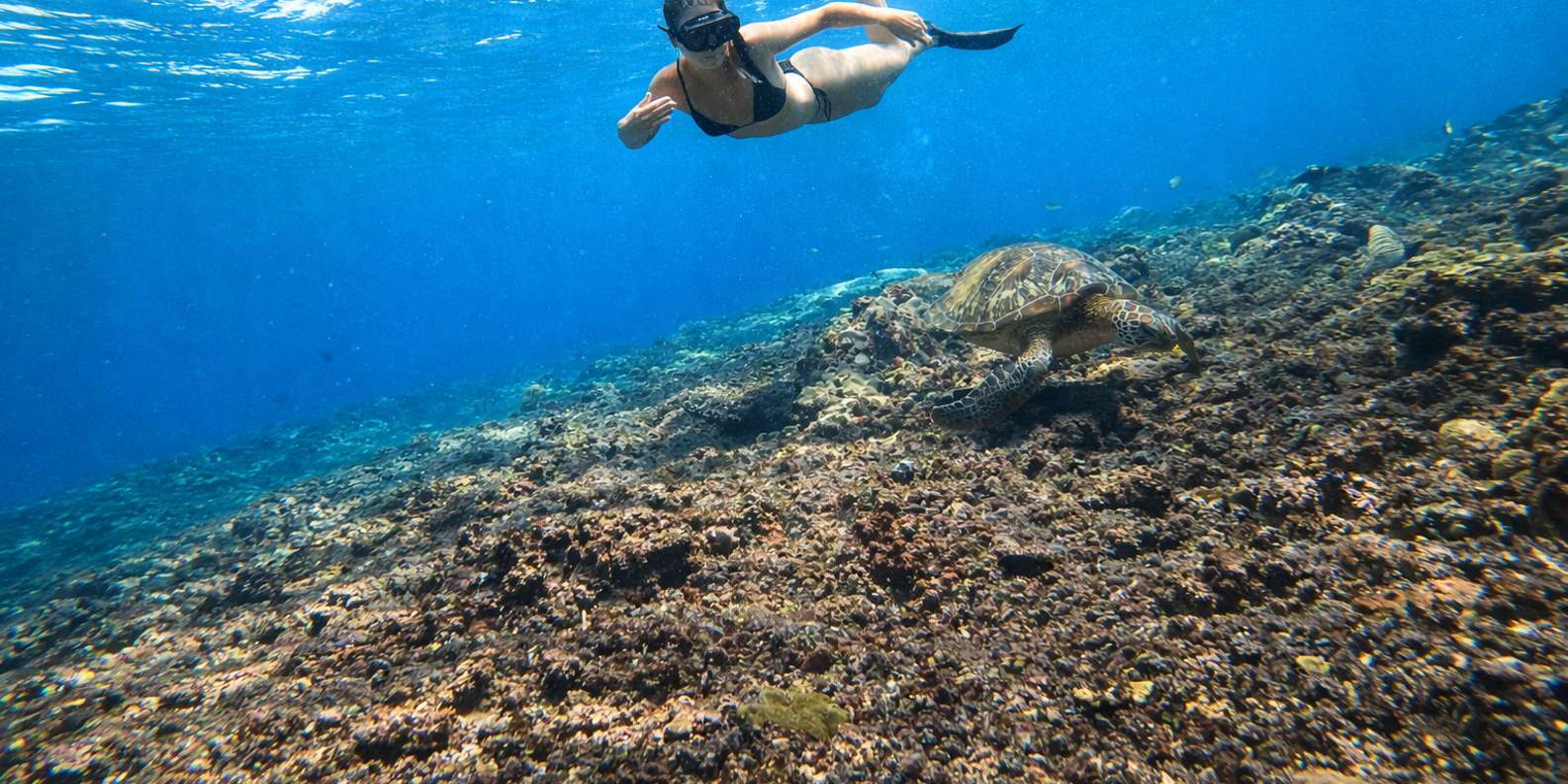 From Bali: Snorkeling 3 Spots with GoPro & West Penida Tour