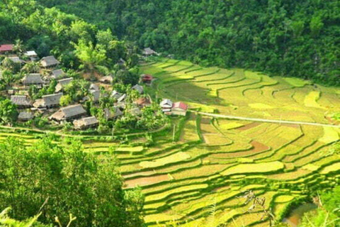 Au départ de Hanoi : Vacances dans la réserve naturelle de Pu Luong 2D1N