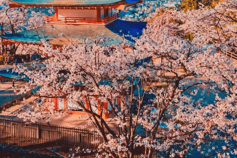Tokyo: Mount Fuji & Pagoda & Oshino Hakkai & Lake Kawaguchi Route B : Mount Fuji & Hakone Private Customizable Day Trip