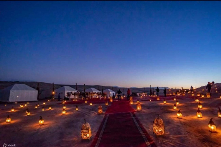 Marrakech: Agafay Desert Quad & Camel Rides With Dinner Show