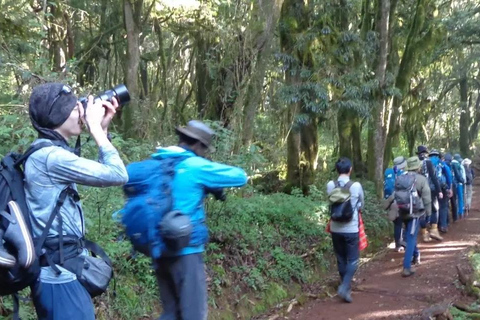 BEST 1-DAY HIKE KILIMANJARO CLIMBING MACHAME ROUTE ONE DAY TO VISIT MT. KILIMANJARO VIA MACHAME ROUTE