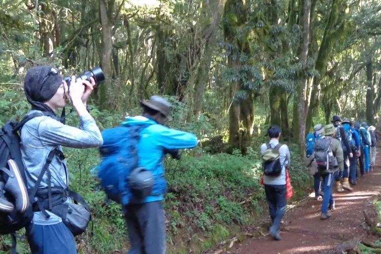 BEST 1-DAY HIKE KILIMANJARO CLIMBING MACHAME ROUTE ONE DAY TO VISIT MT. KILIMANJARO VIA MACHAME ROUTE