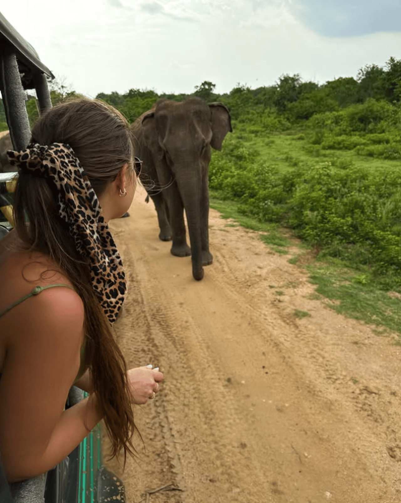 Von Ella: Udawalawa-Safari & Transfer nach Tangalle/Mirissa/Galle