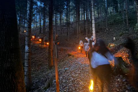 Guided llamawalk with a traditional, homemade cheesefondue