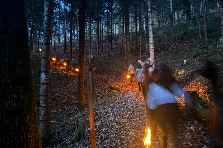 Guided llamawalk with a traditional, homemade cheesefondue