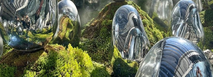 Depuis Nikko : visite de l'art, de l'architecture et de la ligne d'horizon de Tokyo