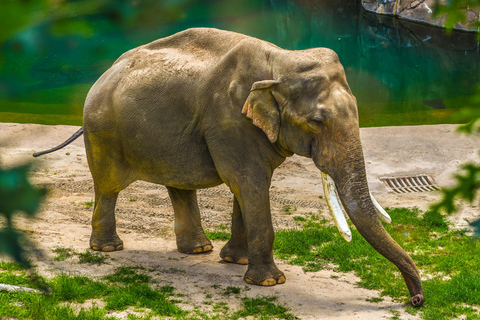 Łódź: City Highlights Private Tour & Orientarium Zoo Visit