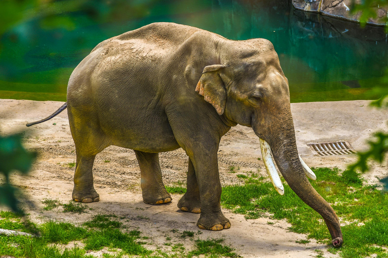 Łódź: City Highlights Private Tour & Orientarium Zoo Visit