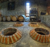 Batumi, Exploring Botanical Garden + Family Wine Tasting - Housity