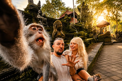 Ubud: Monkey Forest, Jungle Swing And Hidden Waterfall Tour